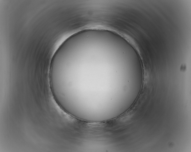 X0000111430863200907271104