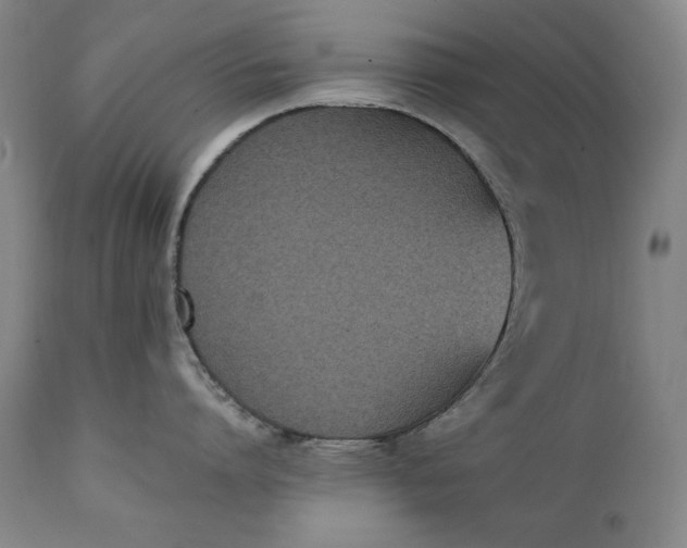 X0000111430864200907271104