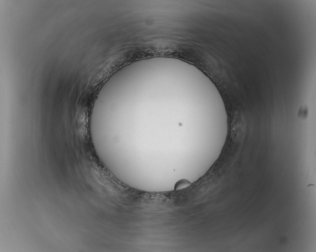 X0000111430866200907271103