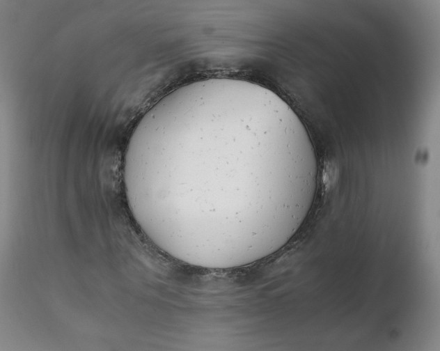 X0000111430867200907271103