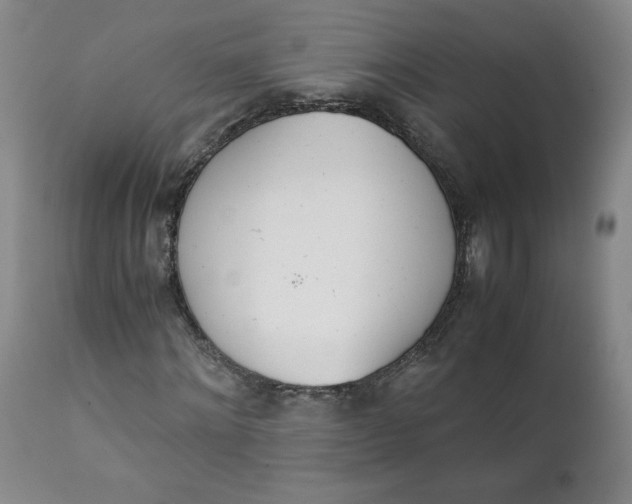 X0000111430868200907271103