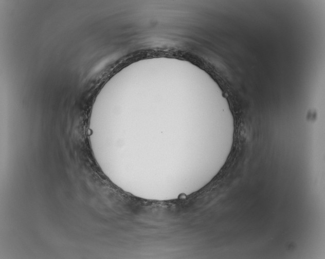 X0000111430869200907271103