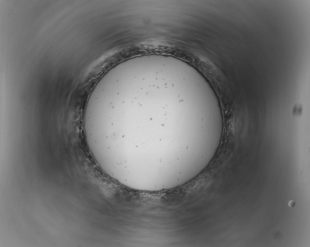 X0000111430870200907271103