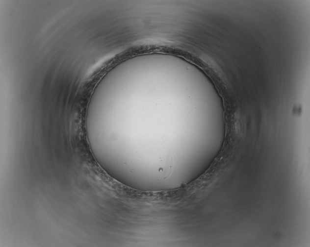 X0000111430872200907271103