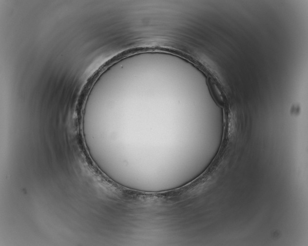 X0000111430876200907271103