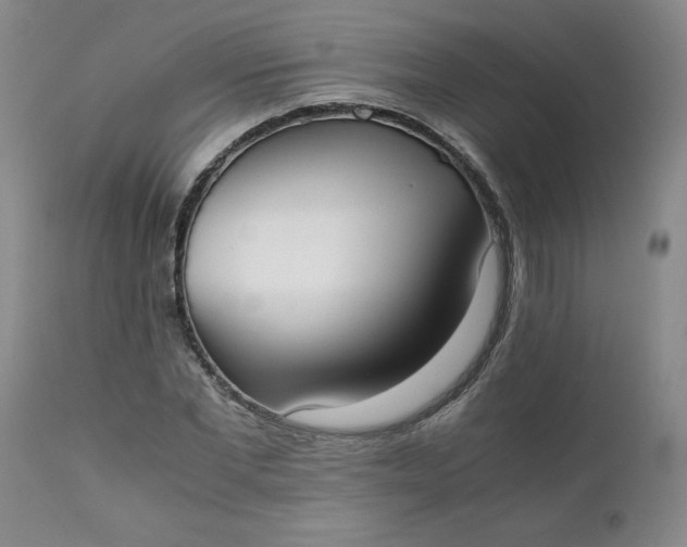 X0000111430877200907271103