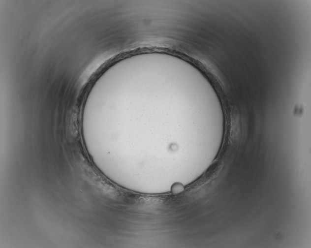 X0000111430878200907271103