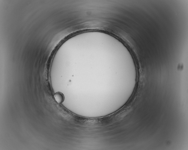 X0000111430883200907271103