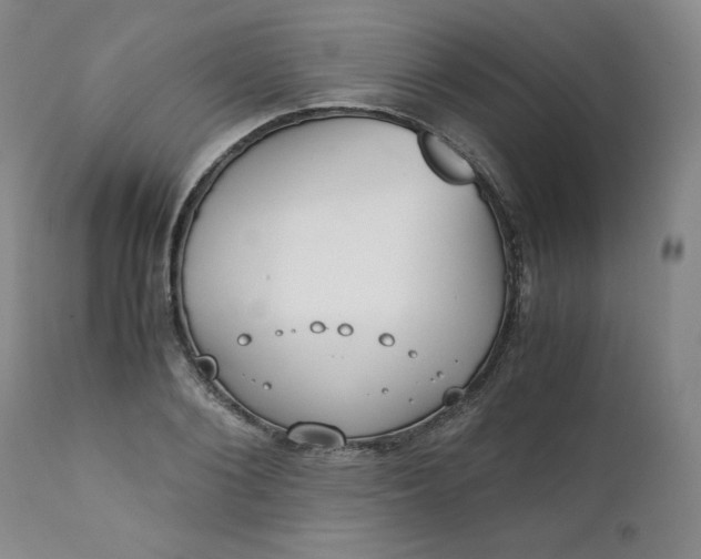 X0000111430884200907271103