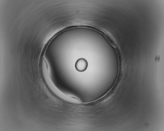 X0000111430885200907271103