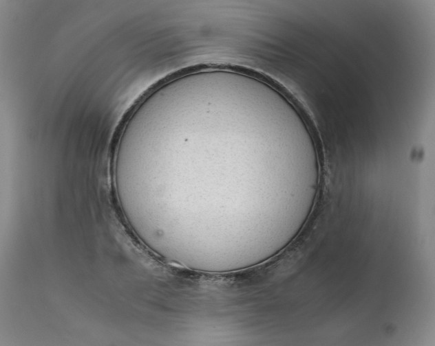 X0000111430887200907271103