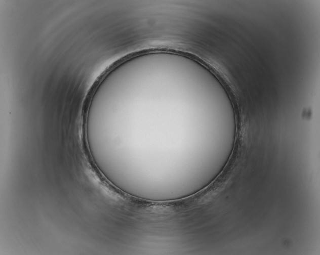 X0000111430888200907271103