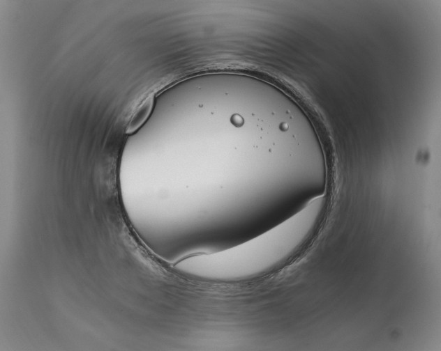 X0000111430889200907271103