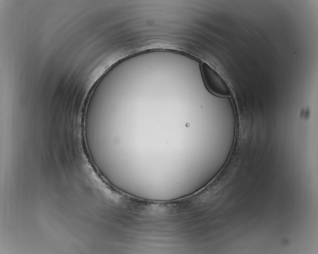 X0000111430898200907271102