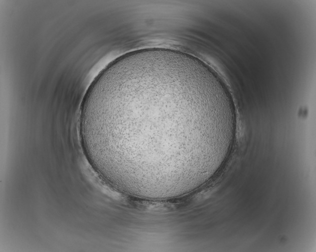 X0000111430899200907271102