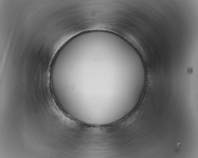 X0000111430900200907271102