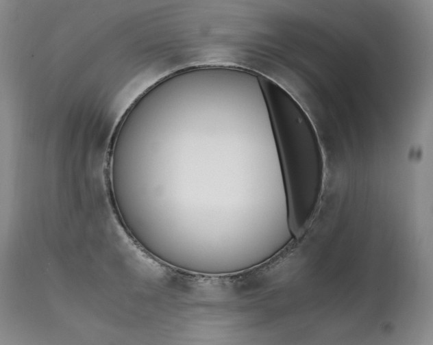 X0000111430901200907271102