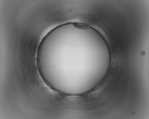 X0000111430902200907271102