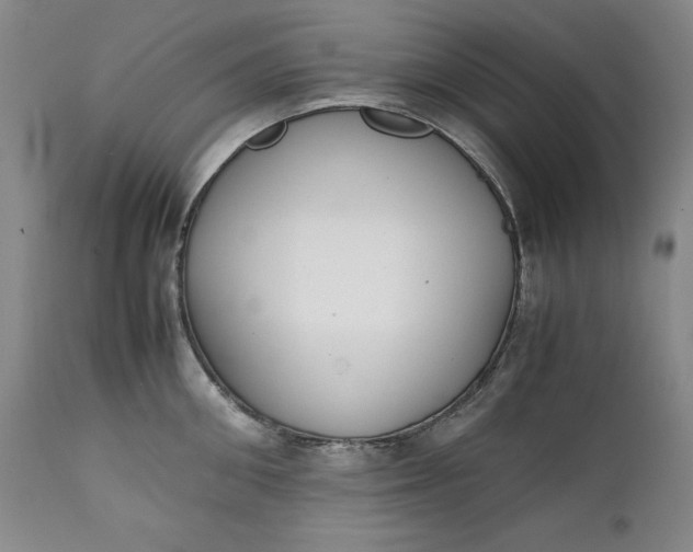 X0000111430906200907271102