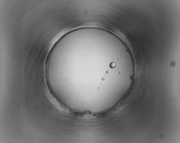 X0000111430907200907271102