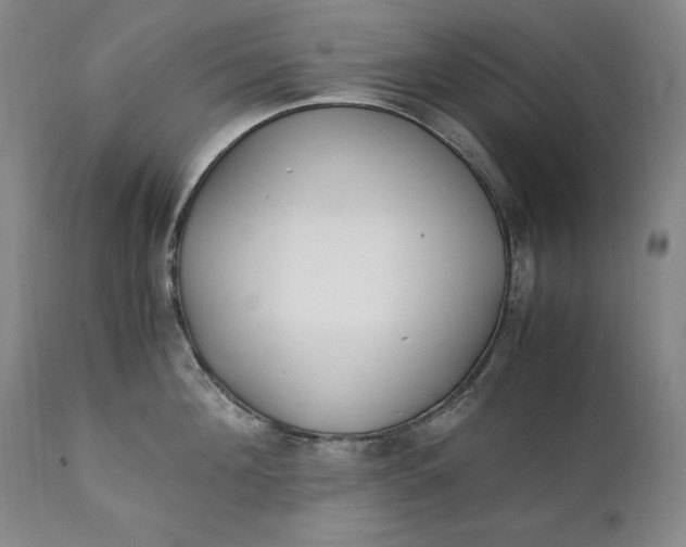 X0000111430908200907271102