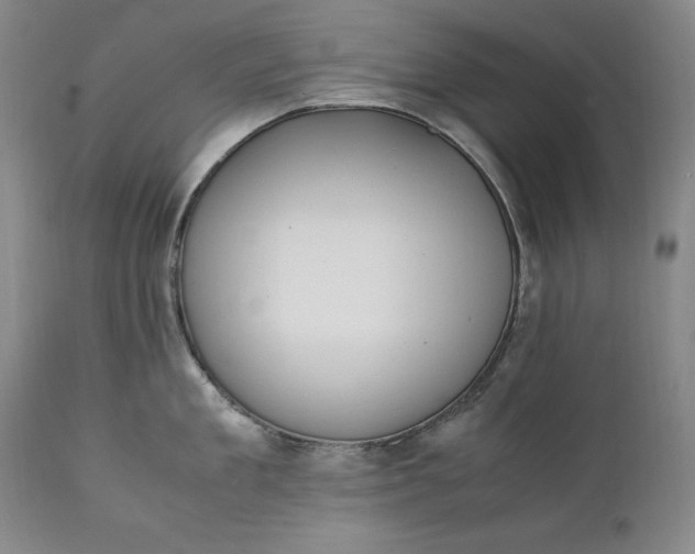 X0000111430909200907271102