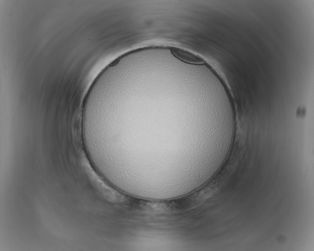 X0000111430911200907271102