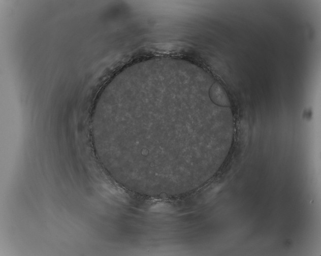 X0000111430913200907271101