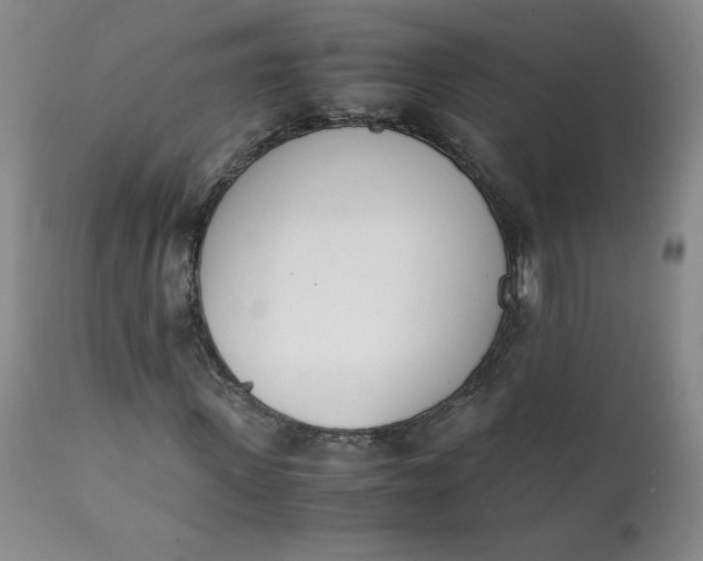 X0000111430915200907271101