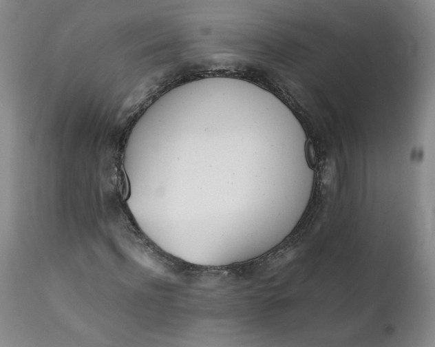 X0000111430916200907271101