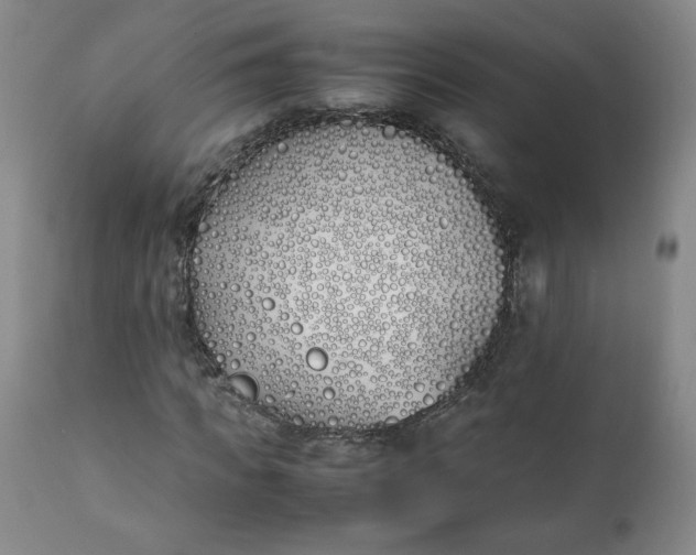 X0000111430917200907271102