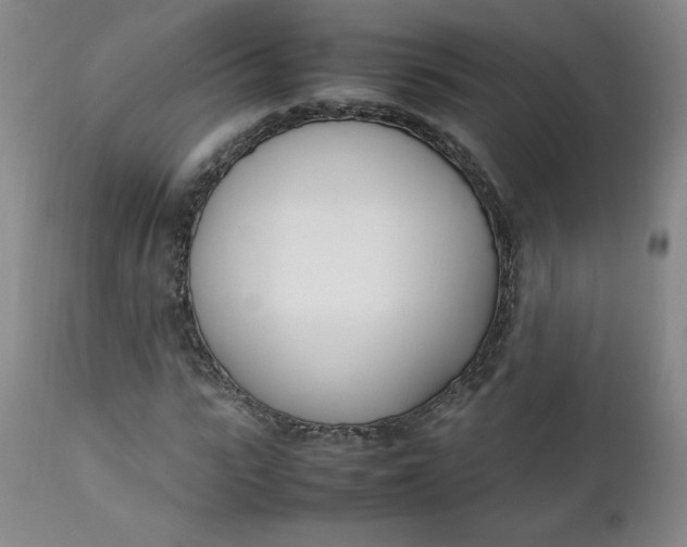 X0000111430919200907271102