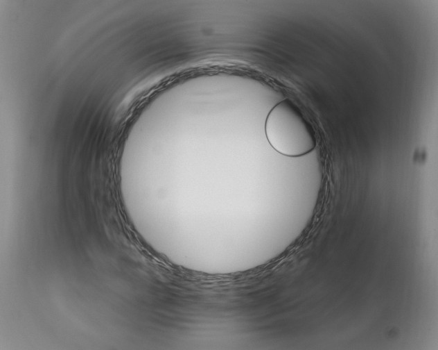 X0000111430920200907271102