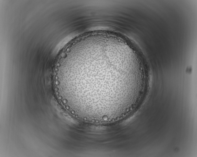 X0000111430921200907271102