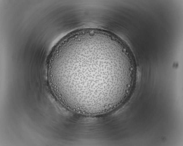 X0000111430925200907271102