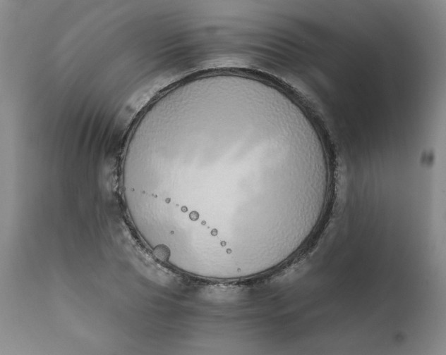 X0000111430929200907271102