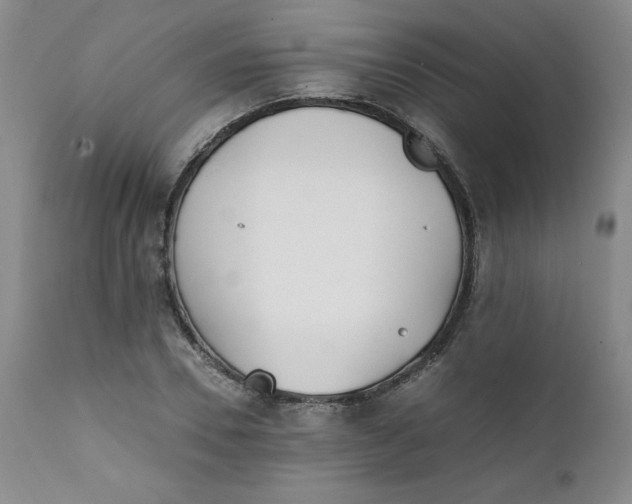 X0000111430930200907271102