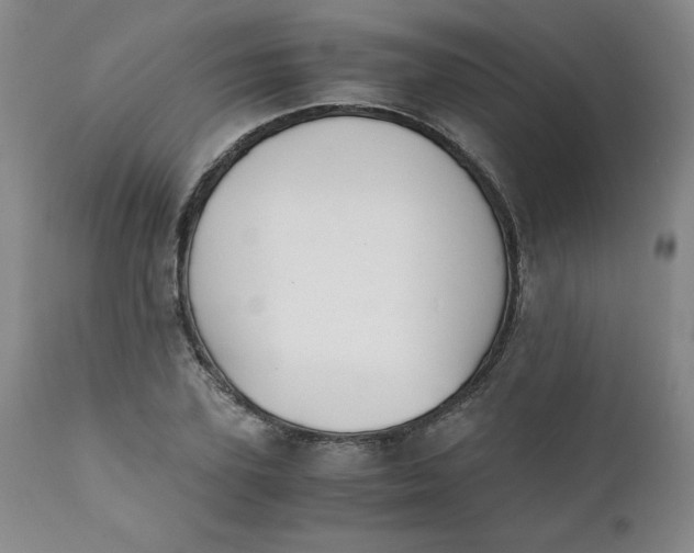 X0000111430931200907271102