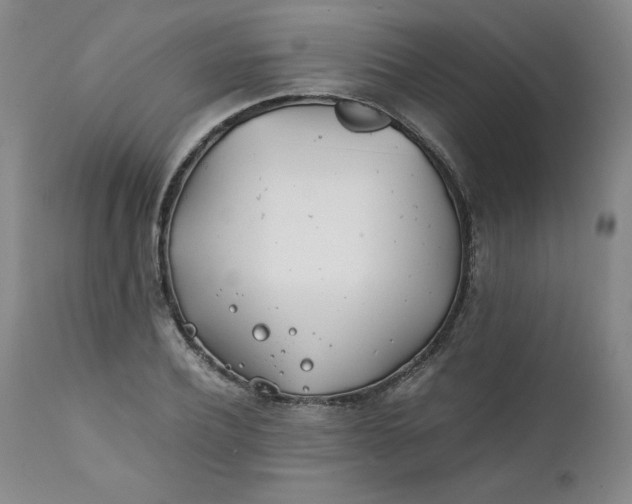 X0000111430932200907271102