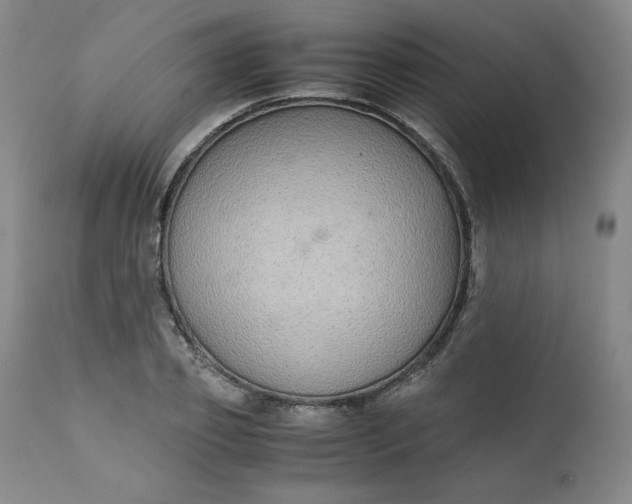 X0000111430933200907271102