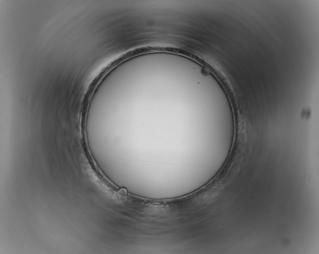 X0000111430935200907271102