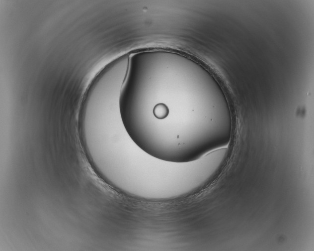 X0000111430936200907271102