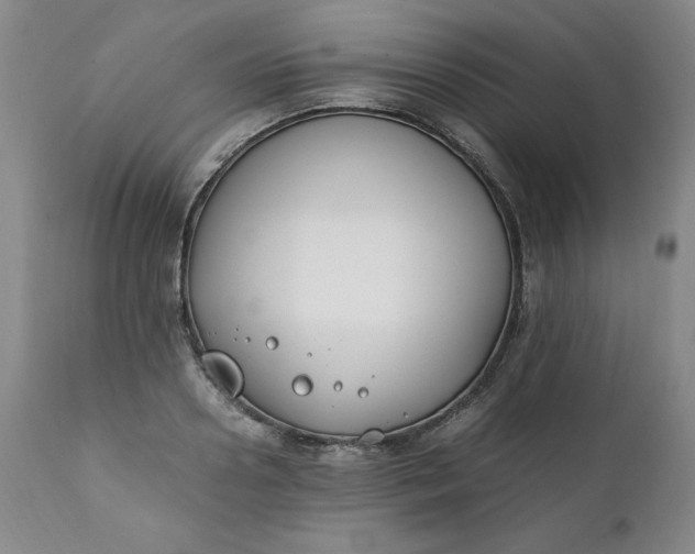 X0000111430938200907271102