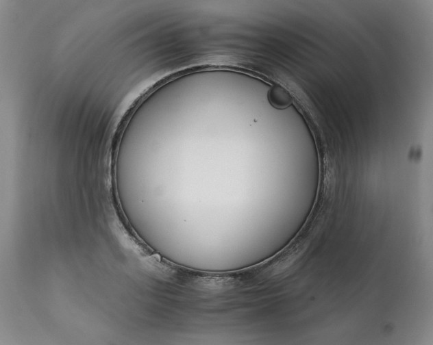 X0000111430939200907271102