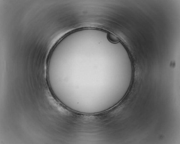 X0000111430940200907271102