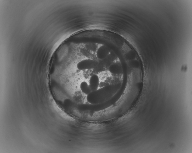 X0000111430941200907271102