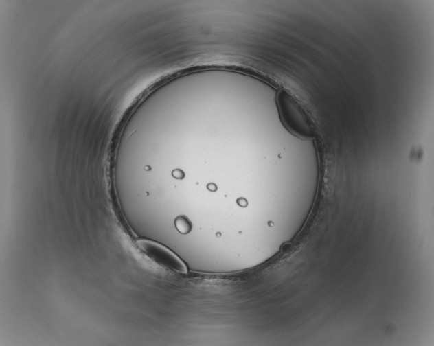 X0000111430942200907271102