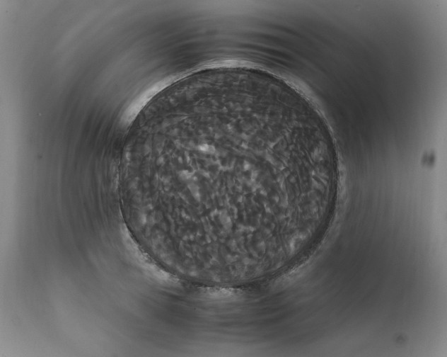 X0000111430945200907271102