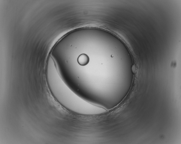 X0000111430948200907271102