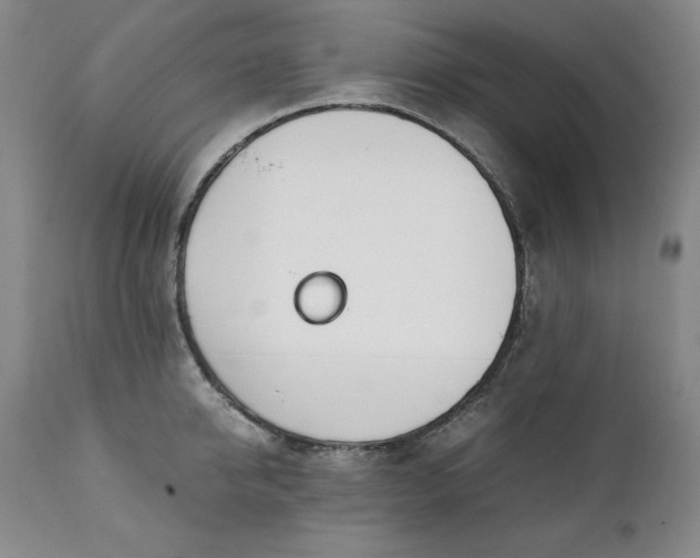 X0000111430950200907271102